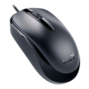 MOUSE GENIUS DX-120 USB Negro