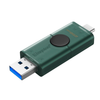 DTDEG2/256GB